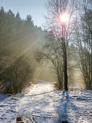 Blankenheim - Schaafbachtal