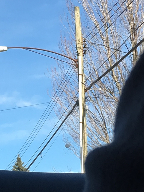 WMECo 120/240v pole