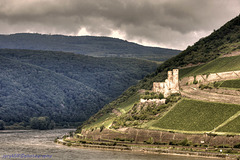 Burg Ehrenfels 1