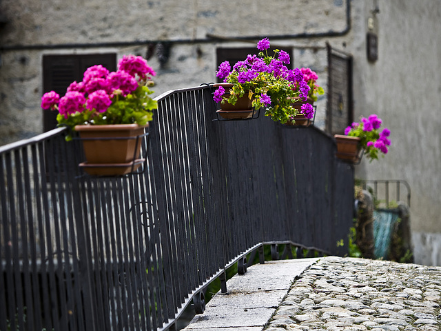 Flowery bridge at Piedicavallo, Biella