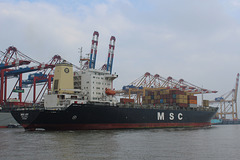 MSC JOY