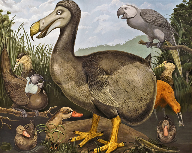 Dodo and Friends – Natural History Museum, South Kensington, London, England
