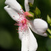 DSCF0381