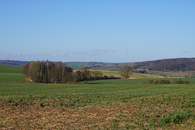 Spaziergang bei Gieboldehausen II