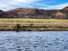 View across the Cawdor Estate at Drynachan