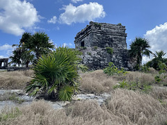 Mayan Ruins