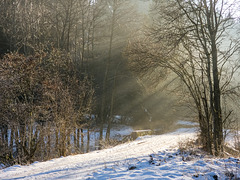 Blankenheim - Schaafbachtal