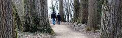 Rheinweg