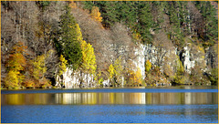 L'automne au lac Pavin...