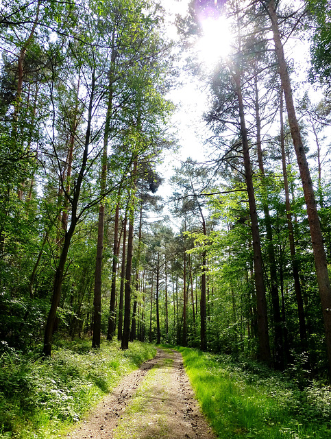 Auf dem Wanderweg Nr. 1