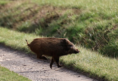 comme disait coluche : " rien ne sert de partir à point, il vaut mieux courir " ...