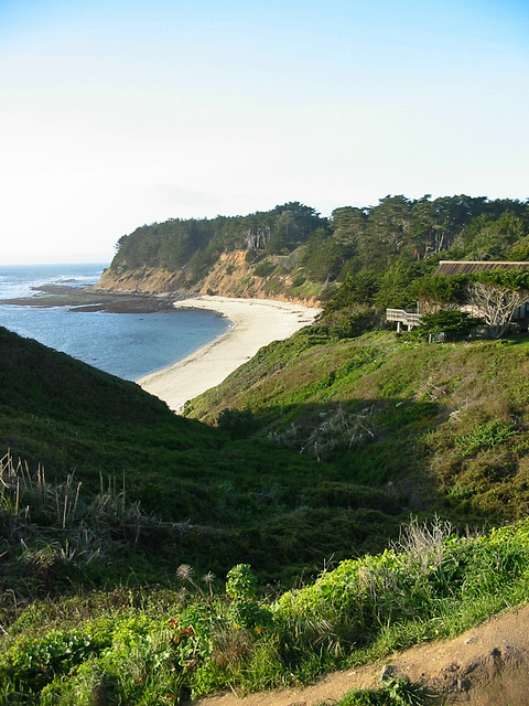 Fitzgerald Marine Reserve