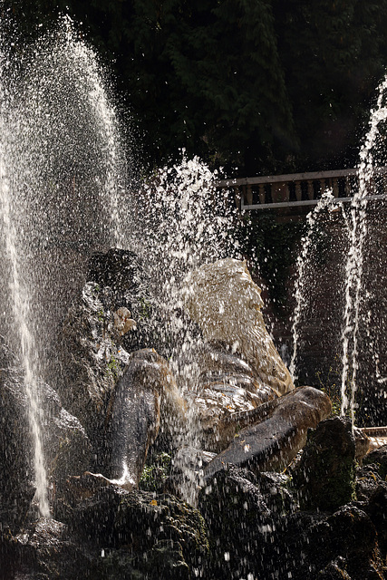 Vater Rhein Brunnen