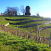 Spaziergang beim 'Spitzhaus' - Radebeul - 6.12.2015