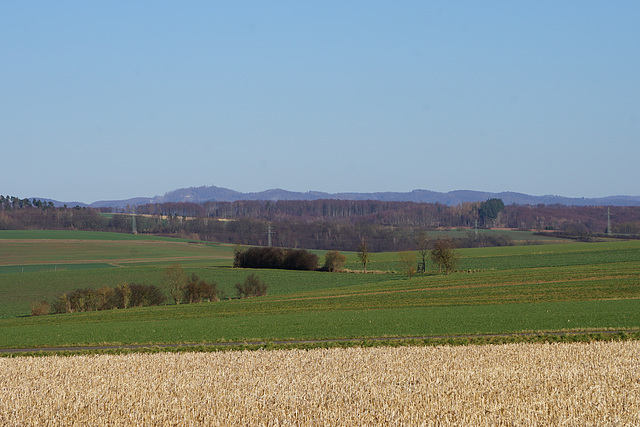 Spaziergang bei Gieboldehausen IV