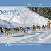 ipernity homepage with #1482