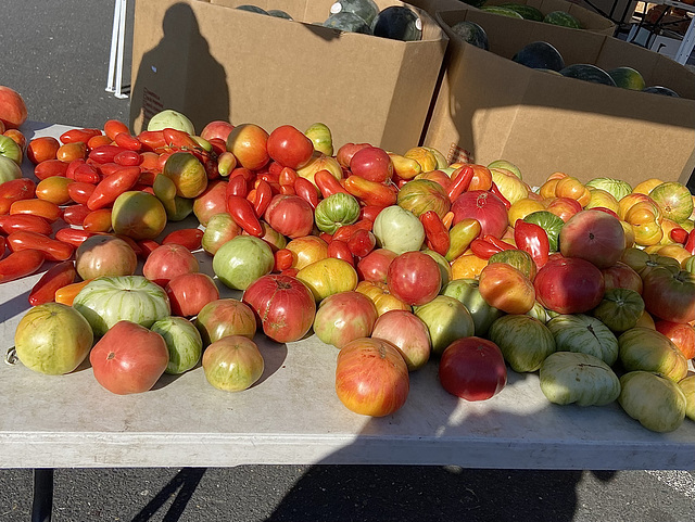 Heirloom  tomatos