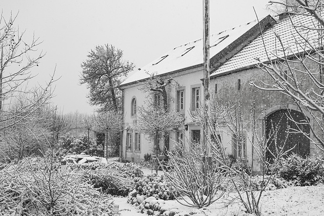 Début d'année hivernal