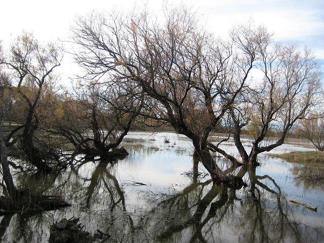 Parc Natural dels Aiguamolls de l’Empordà