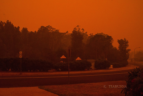 In the thick of the smoke