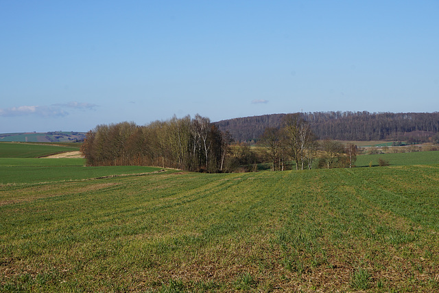 Spaziergang bei Gieboldehausen V