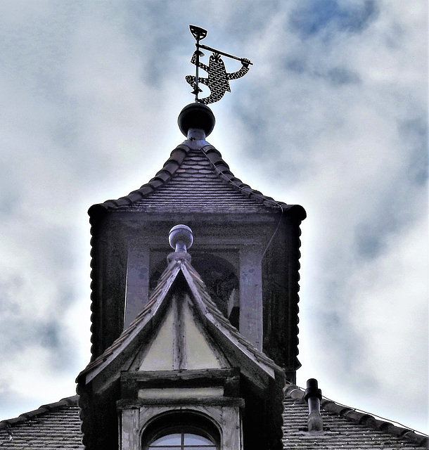 Wetterfrosch in Konstanz