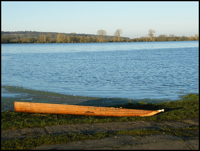 flooded meadow