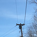 WMECo 4.8kv ∆ pole WMECo 4.8kv ∆ pole