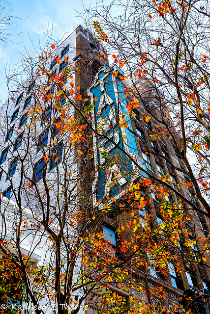 February and Autumn in Tampa