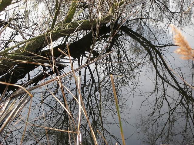 Parc Natural dels Aiguamolls de l’Empordà