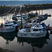 Alaska, Parking for Boats in the Port of Homer