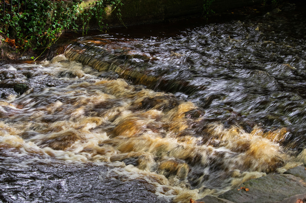 More rain
