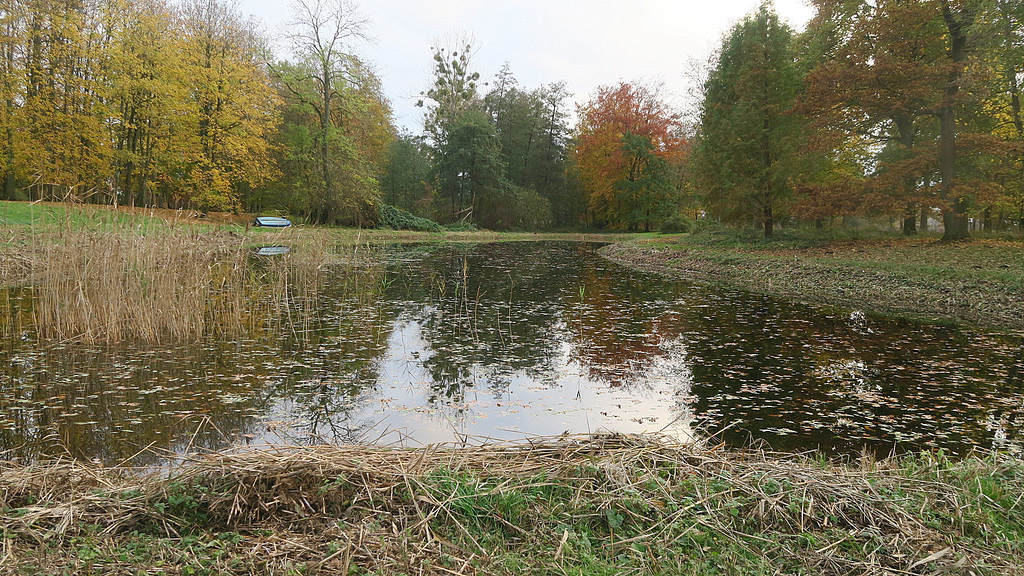 Herbststimmung