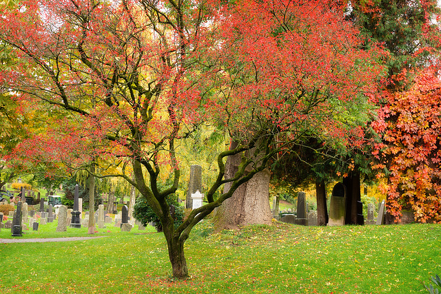 Oslo. Erlöserfriedhof