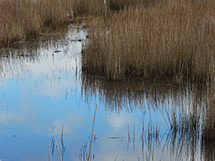 les marais