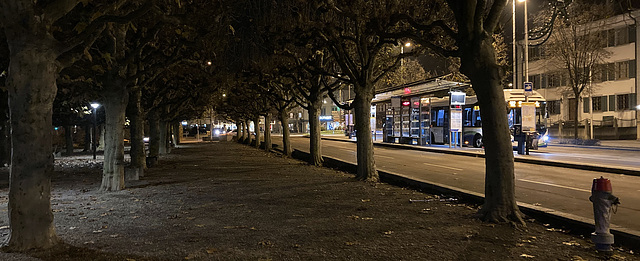 Bärenplatz