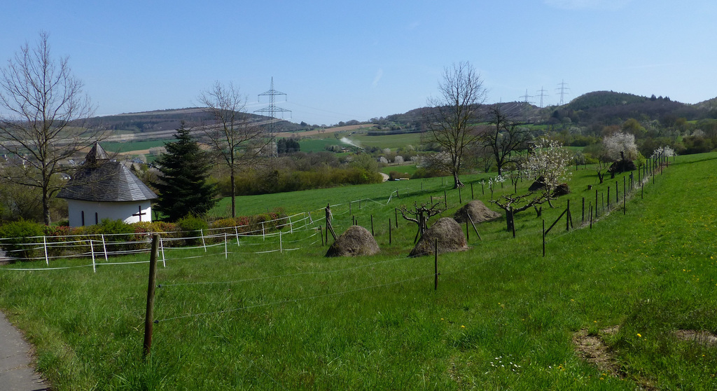 Rund um Heimersheim