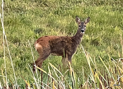 Here's looking at you!