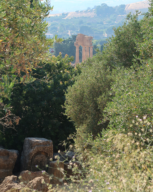 Temple of Castor and Pollux