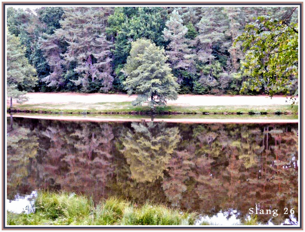 Reflets...Reflexions...