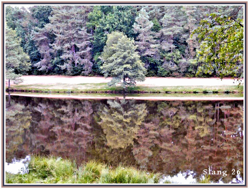 Reflets...Reflexions...