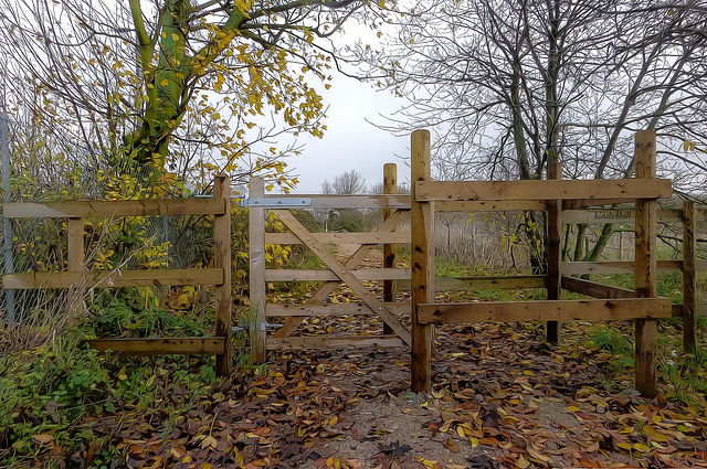 Autumn Gate   /   Nov 2019