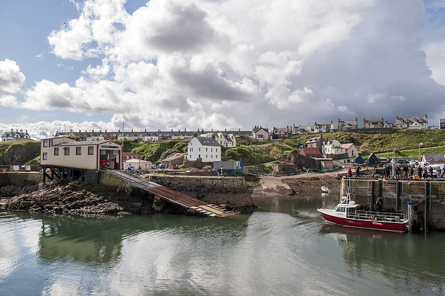 St Abbs harbour