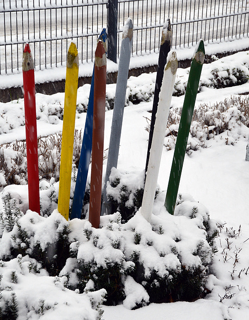 Farbtupfer im Schnee