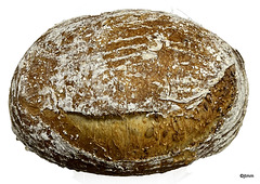 Sourdough with Greek Yoghurt