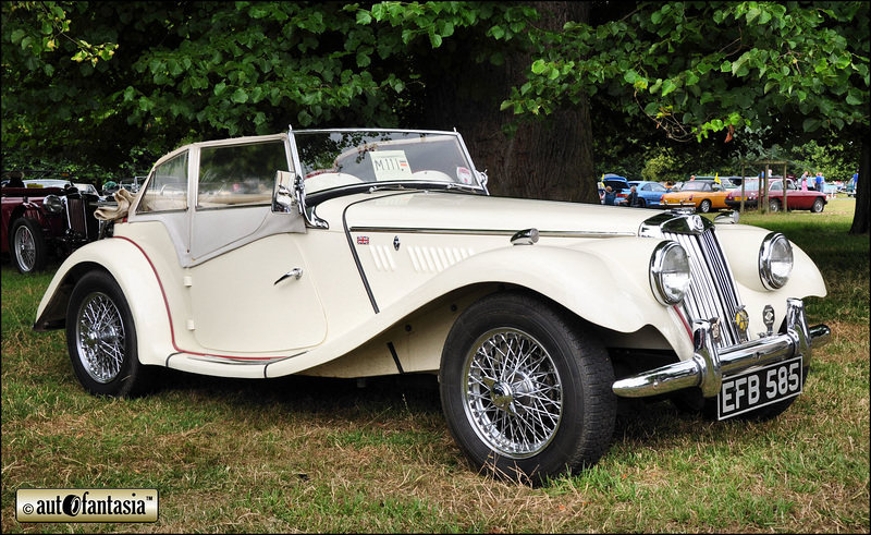 1954 MG TF Midget - EFB 585