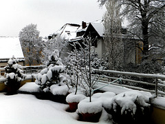 Und das soll in diesem Jahr noch so etwas wie Winter sein...??? ©UdoSm