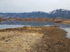 Reflection, with Slide Mountain