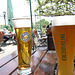 Biergarten am Rhein bei Speyer