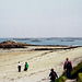 Herm Island (Scan from 1996)